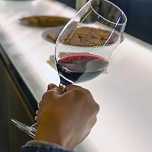 Style Crystal Clear 310 ml Red Wine and White Wine Glasses Perfect for Parties, Gifts,Housewarming,Weddings,Aniversary Set of 2