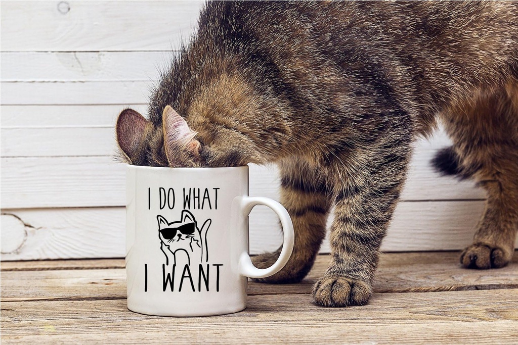 cbtwear-i-do-what-i-want---11oz-ceramic--4.jpg