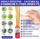 fly-strips-indoor-sticky-hanging-10pk-wi-2.jpg