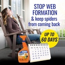 terro-t2360-ready-to-use-spider-cobweb-e-2.jpg