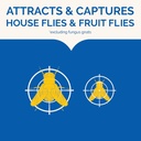 hot-shot-flying-insect-trap-discreet-has-2.jpg