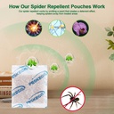 10-pack-powerful-spider-repellent-indoor-3.jpg