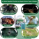 10-pack-powerful-spider-repellent-indoor-4.jpg