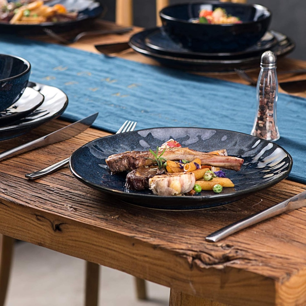 vicrays-ceramic-dinner-plates-set-105-in-5.jpg