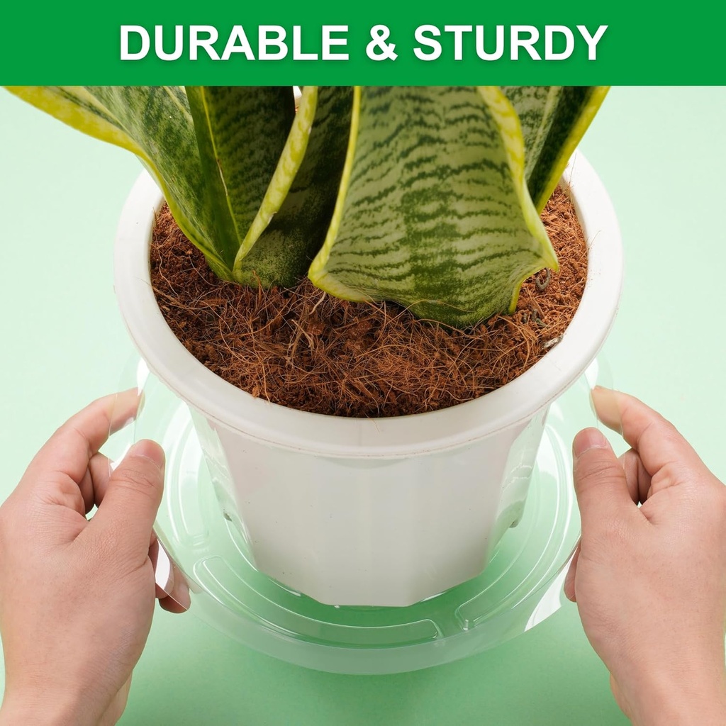 catiflin-24-pack-clear-plant-saucers---6-4.jpg