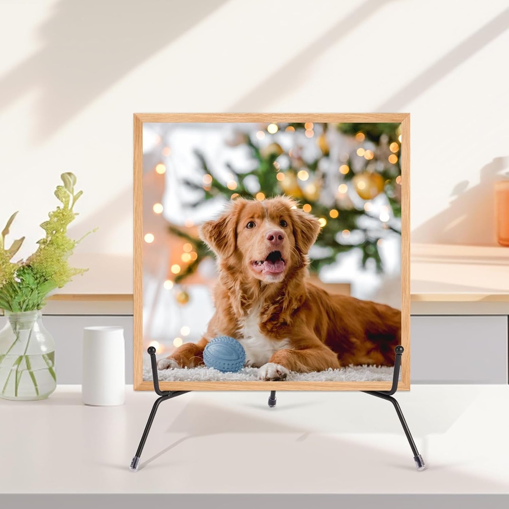 2-pack-12-inch-black-iron-plate-display--6.jpg