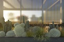 clear-polycarbonate-black-corrugated-roo-4.jpg