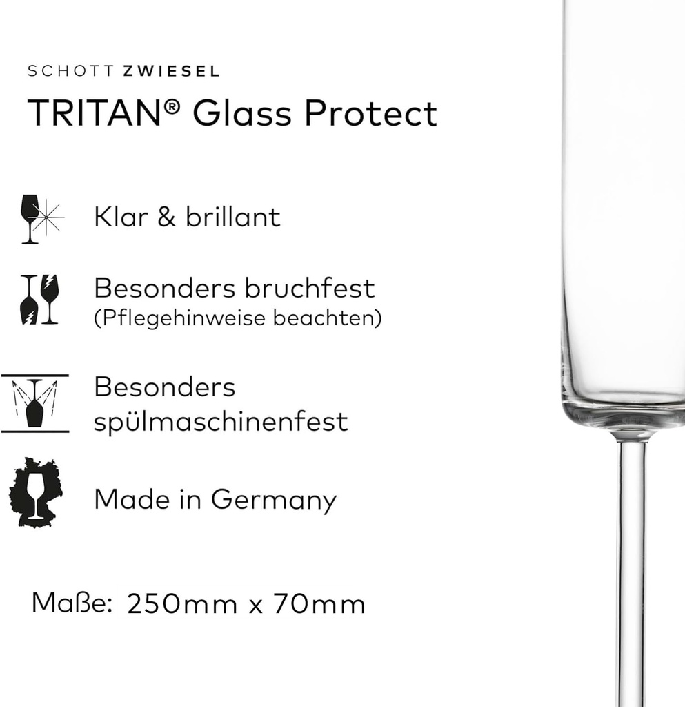 champagne-glass-modo-2.jpg