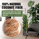 2-pack-moss-pole-63-inch-bendable-moss-p-6.jpg