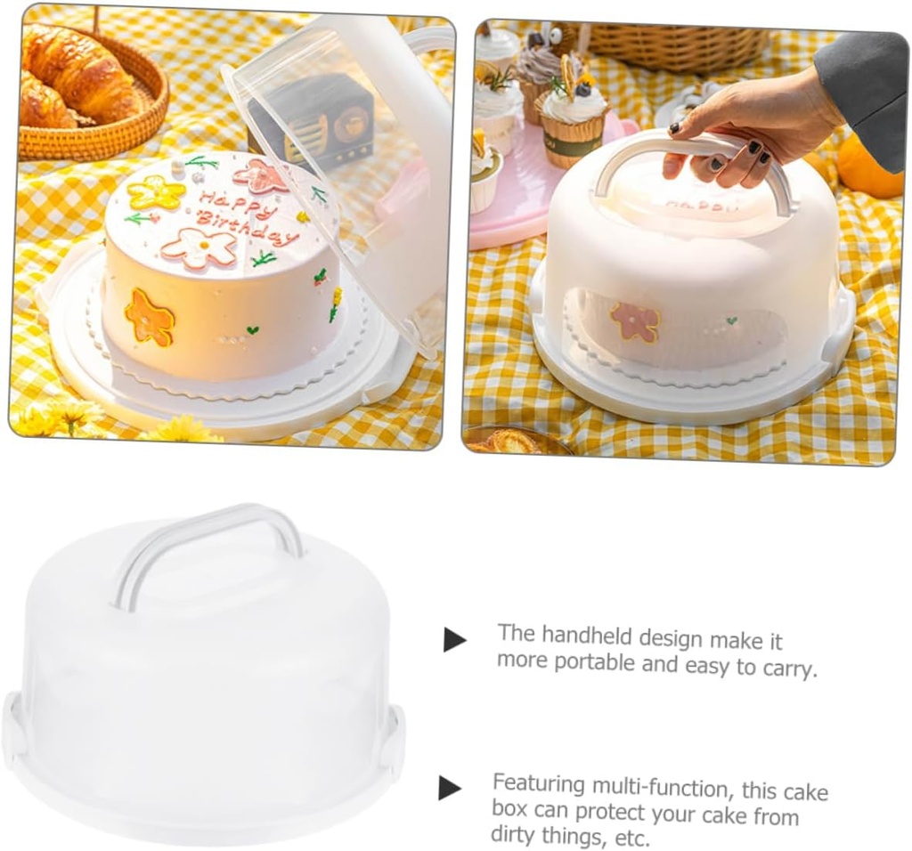 healifty-cake-box-decorative-cake-carrie-3.jpg