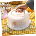 healifty-cake-box-decorative-cake-carrie-4.jpg