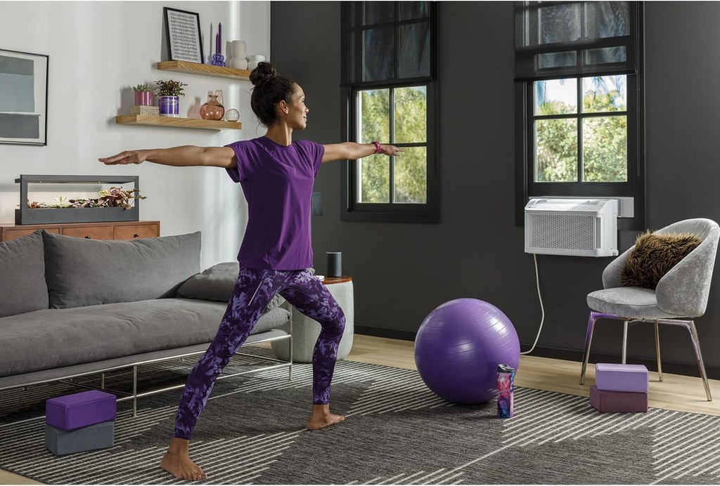ge-profile-clearview-window-air-conditio-6.jpg