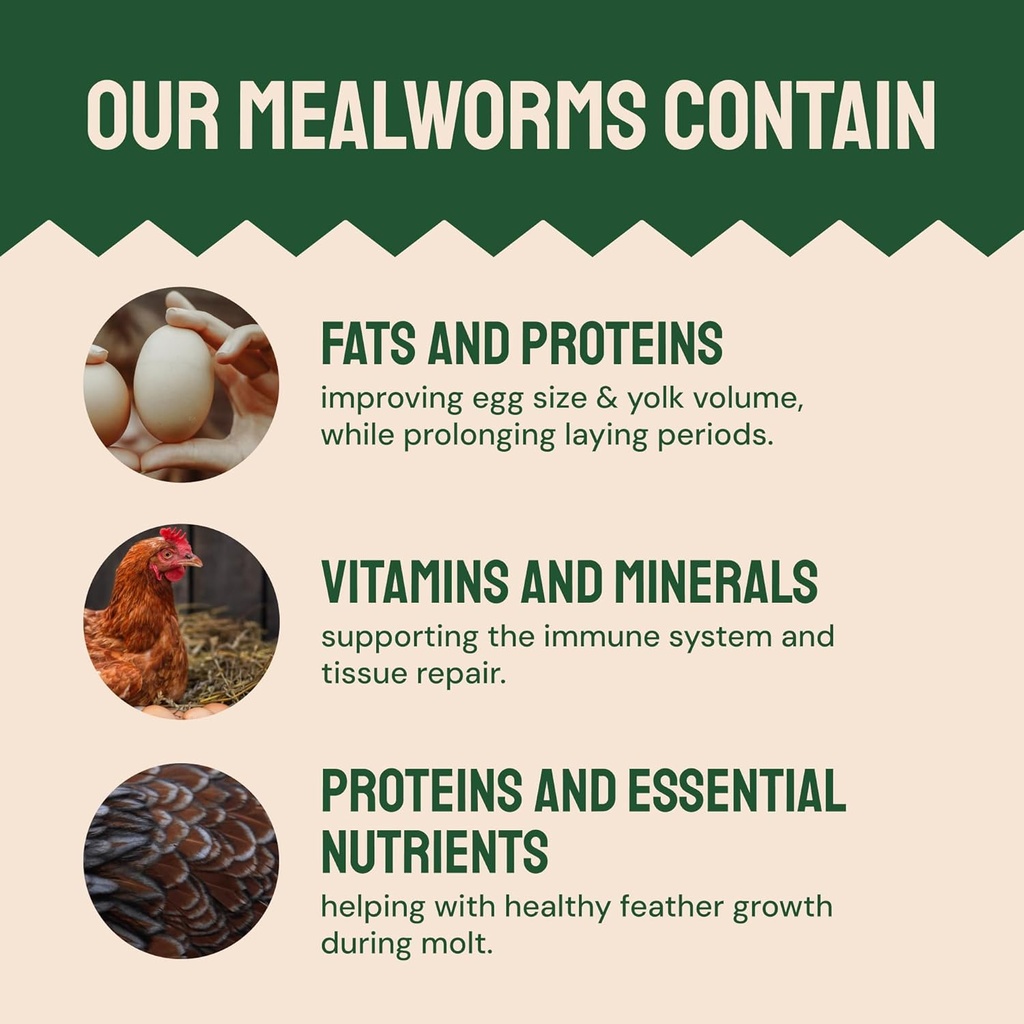 hatortempt-chicken-feed-dried-mealworms--3.jpg