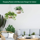 hanging-planters-for-indoor-plants-2-pac-5.jpg