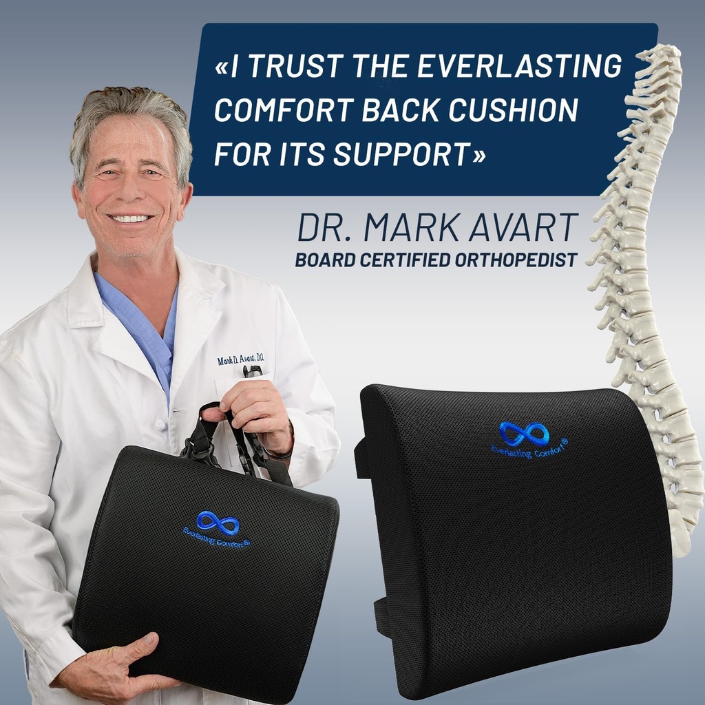 everlasting-comfort-lumbar-support-pillo-2.jpg