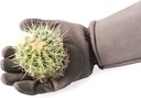 cooljob-thorn-proof-rose-pruning-garden--5.jpg