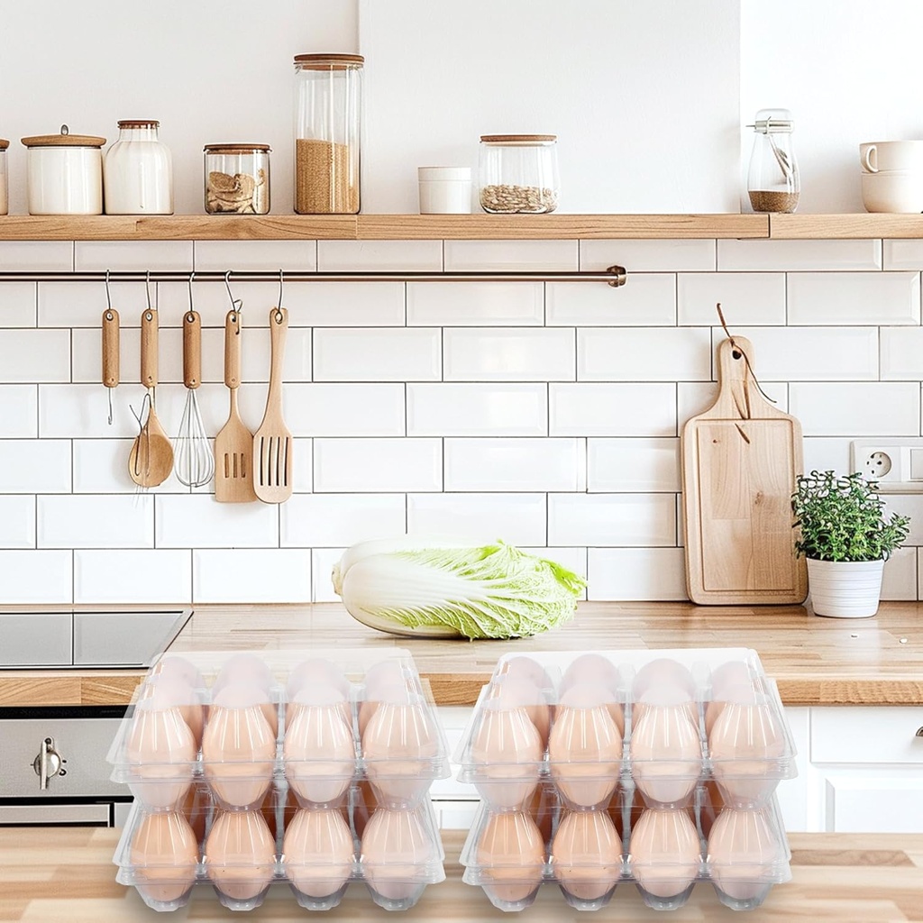 50-pack-12-count-plastic-egg-cartons---b-6.jpg