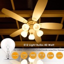 40-watt-light-bulbs-e12-candelabra-base--2.jpg