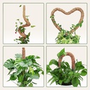 moss-pole-monstera-plant-support-2-pack--3.jpg
