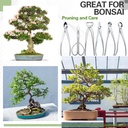 nuogo-6-piece-bonsai-tool-set-with-roll--6.jpg