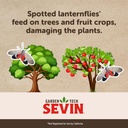 sevin-insect-killer-ready-to-spray-white-5.jpg