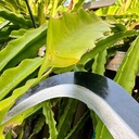 billhook-sickle-garden-tools-machete-kni-4.jpg