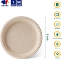 jolly-chef-compostable-heavy-duty-plates-2.jpg