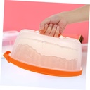 cabilock-transparent-plastic-cake-carrie-4.jpg