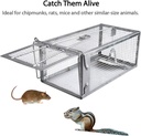 gingbau-chipmunk-trap-humane-live-mouse--2.jpg