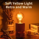 warm-incandescent-light-bulbs-60-watta19-5.jpg