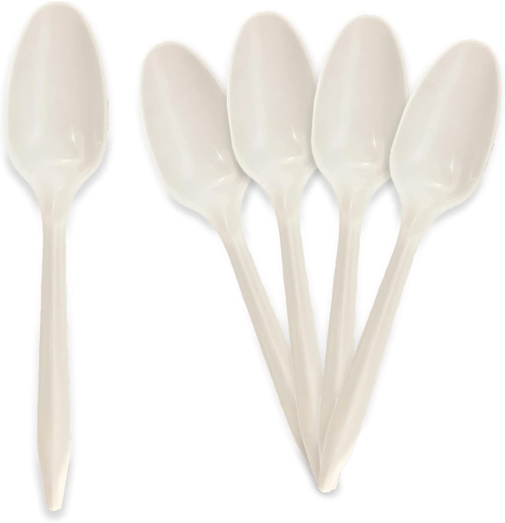pami-bulk-plastic-spoons-1000-count-disp-2.jpg