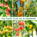fruit-picker-pole-with-basket-telescopin-4.jpg