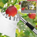 fruit-picker-pole-with-basket-telescopin-5.jpg