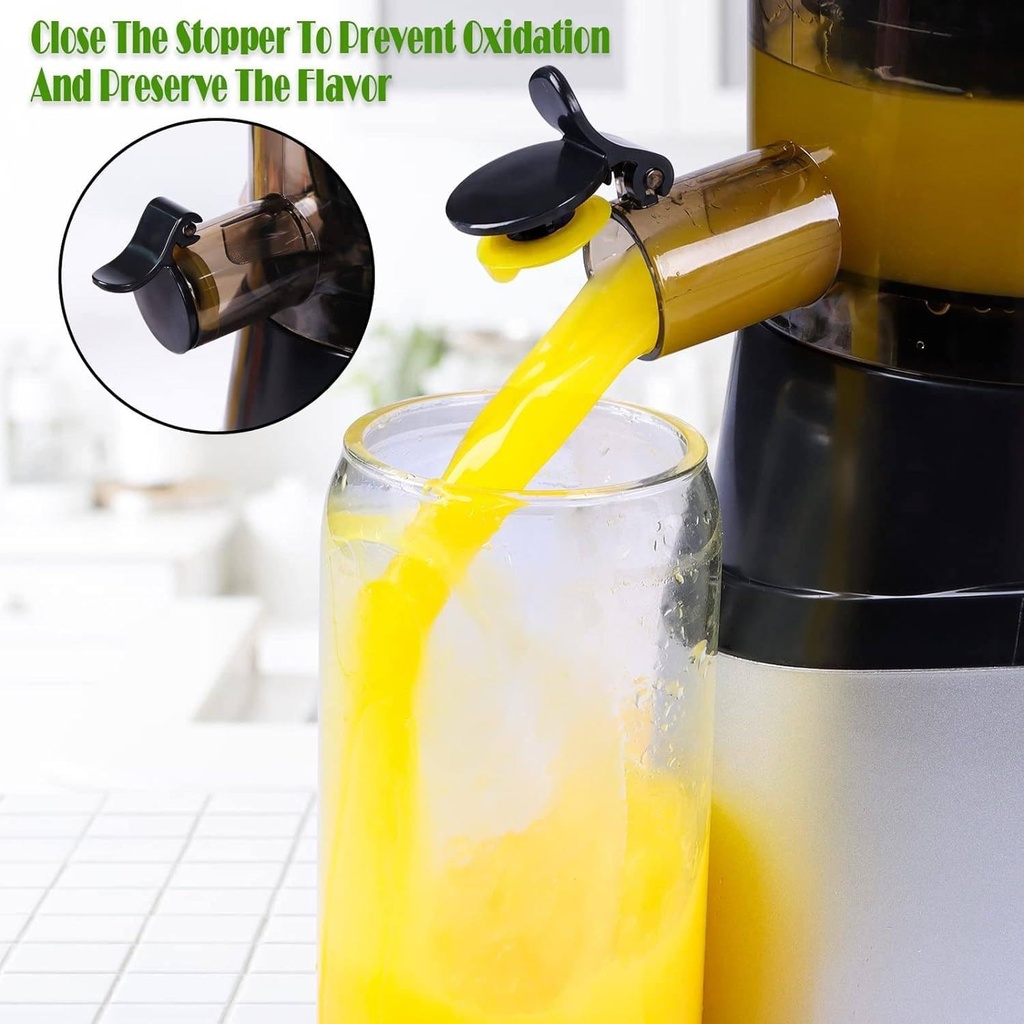 slow-juicer-machinefull-automatic-large--6.jpg
