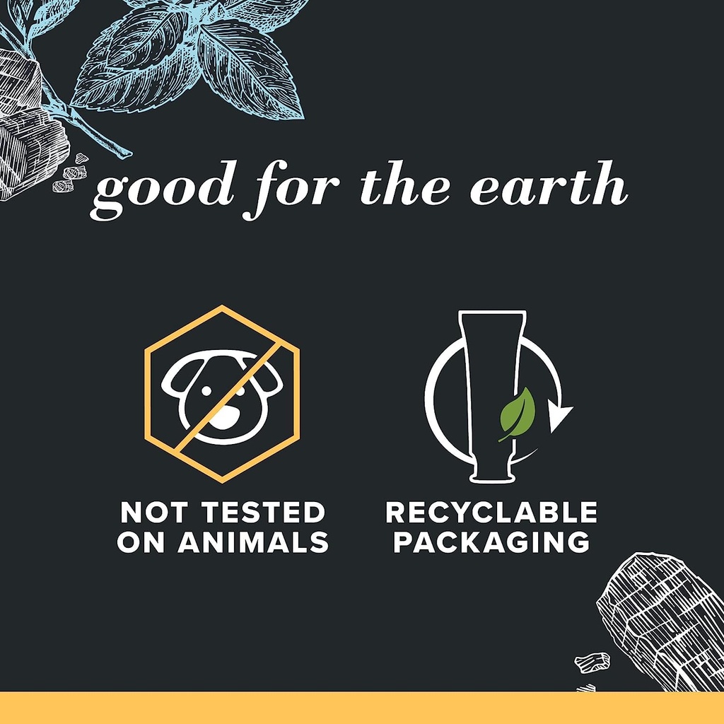 burts-bees-toothpaste-natural-flavor-cha-4.jpg