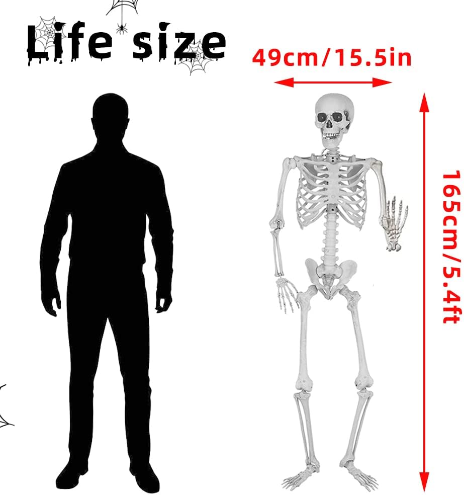 wocst-54ft165cm-halloween-skeleton-full--2.jpg