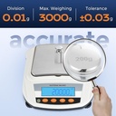 bonvoisin-lab-scale-rechargeable-electro-3.jpg