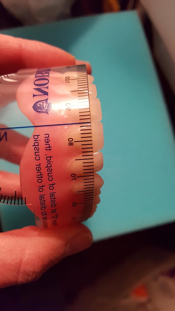 flexible-denture-millimeter-dental-ruler-2.jpg