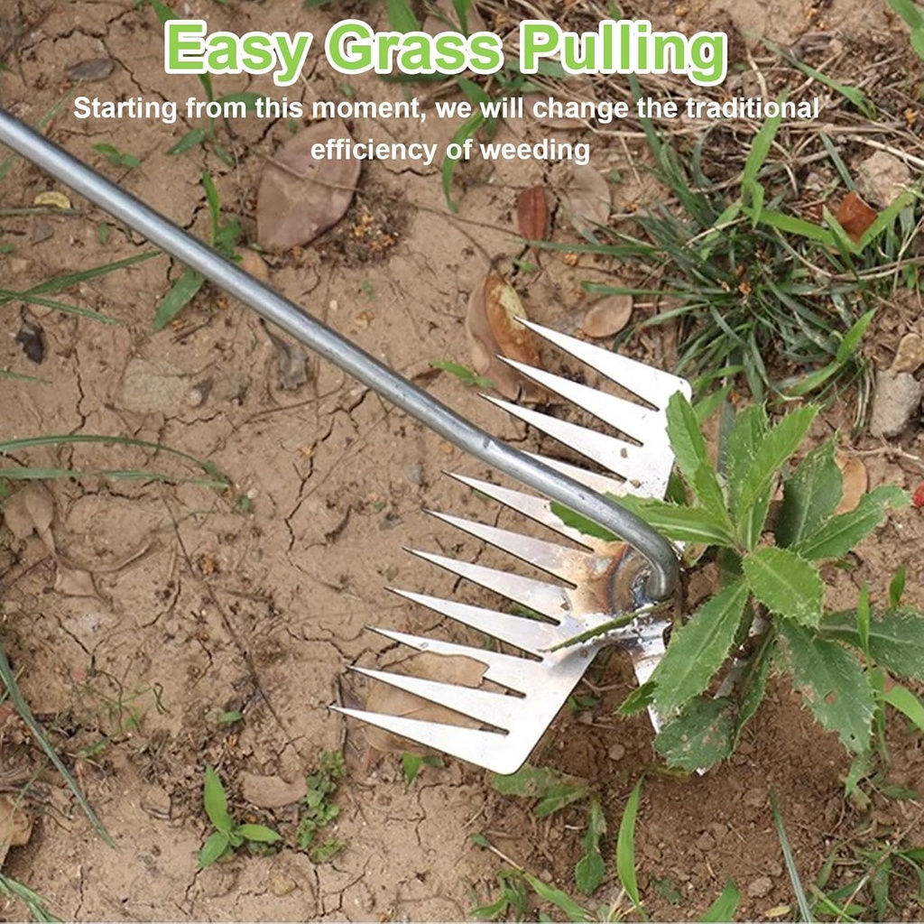 2025-new-weeding-artifact-uprooting-weed-6.jpg