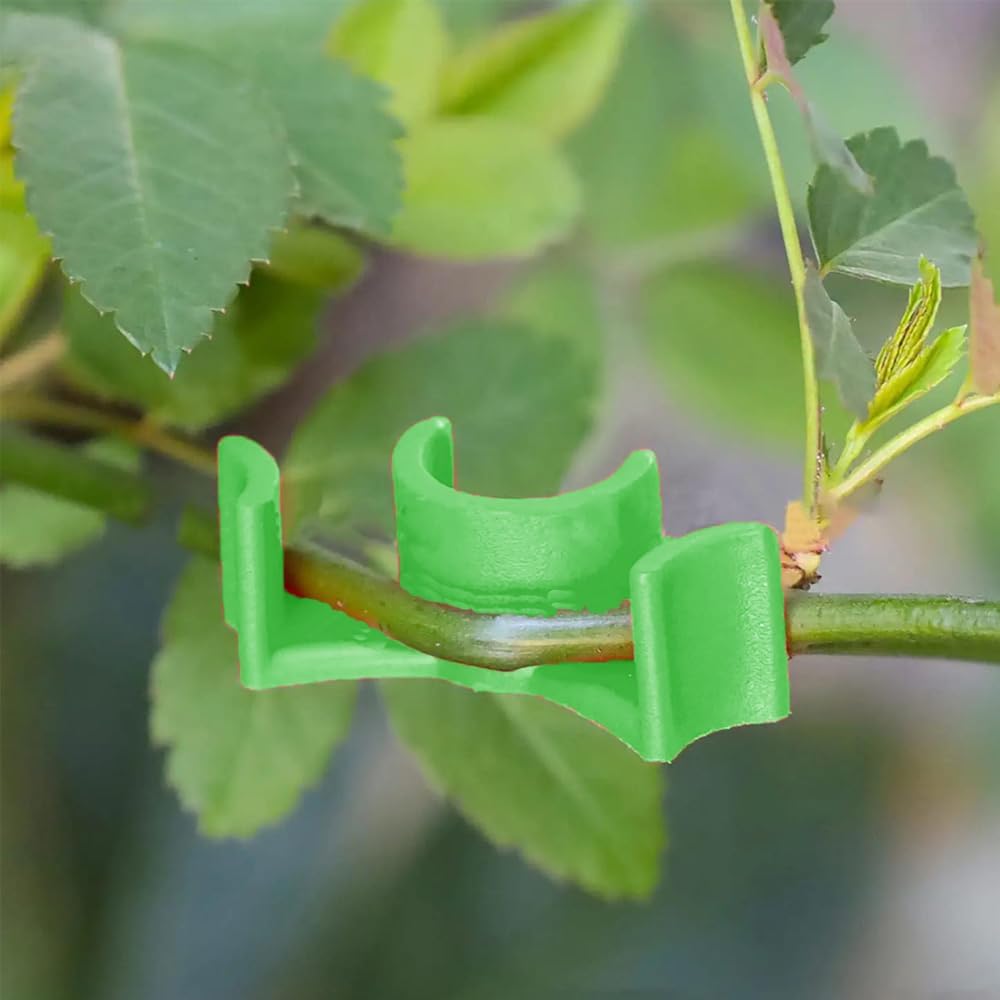80-pcs-plant-stem-training-clips-low-str-5.jpg