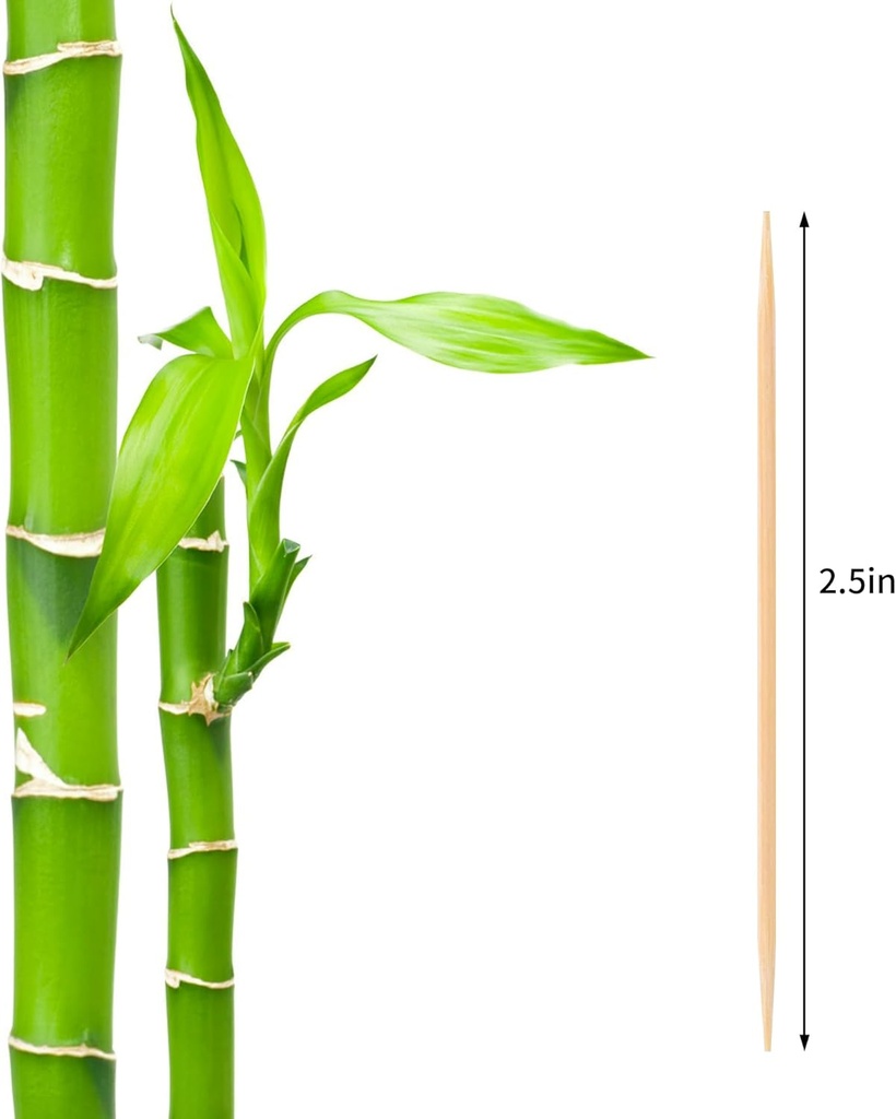 1000-count-bamboo-toothpicks-barbecue-fr-2.jpg