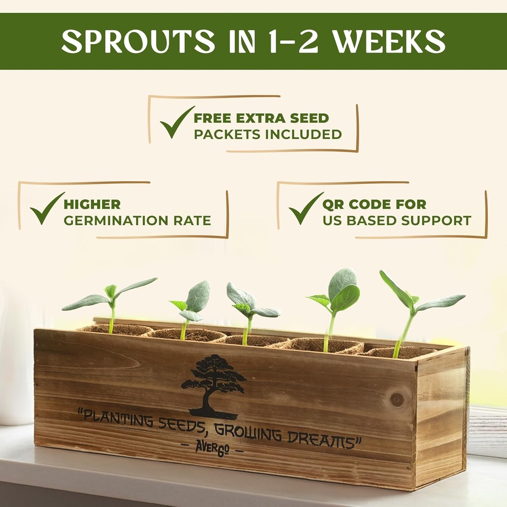 avergo-bonsai-tree-kit-for-beginners-5x--4.jpg