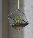 mosser-lee-ml1112-black-sand-soil-cover--5.jpg