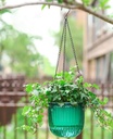 melphoe-2-pack-self-watering-hanging-pla-4.jpg