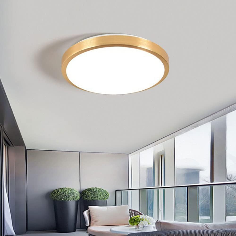 golden-led-ceiling-light-modern-and-simp-3.jpg