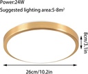 golden-led-ceiling-light-modern-and-simp-5.jpg