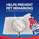 resolve-pet-expert-stain-and-odor-remove-5.jpg