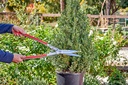 corona-precisioncut-aluminum-hedge-shear-2.jpg