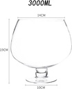 generic-elegant-crystal-goblet-set-for-s-4.jpg