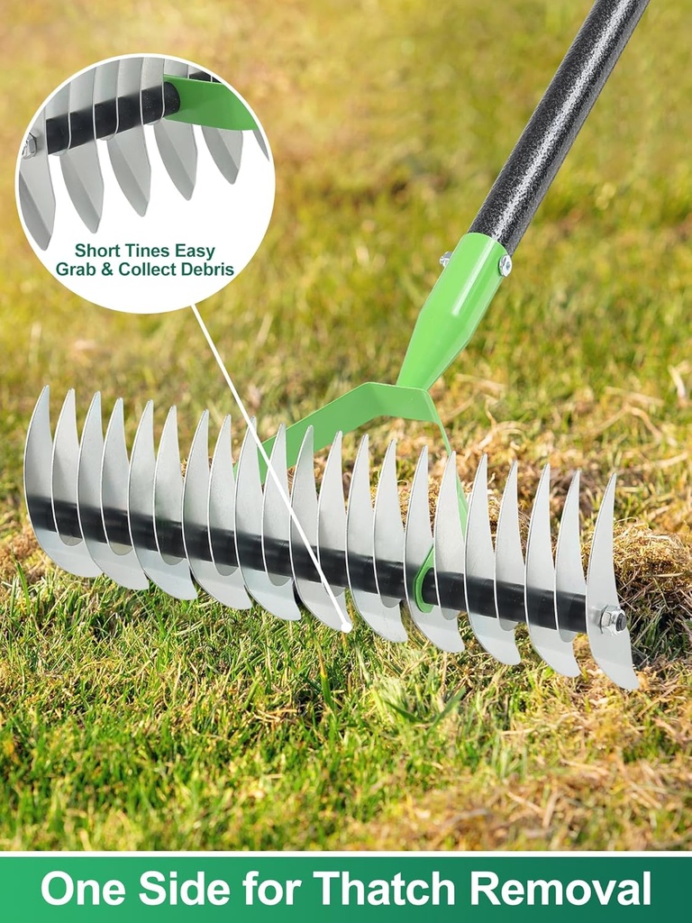 thatch-rake-garden-dethatcher-rakes-for--4.jpg